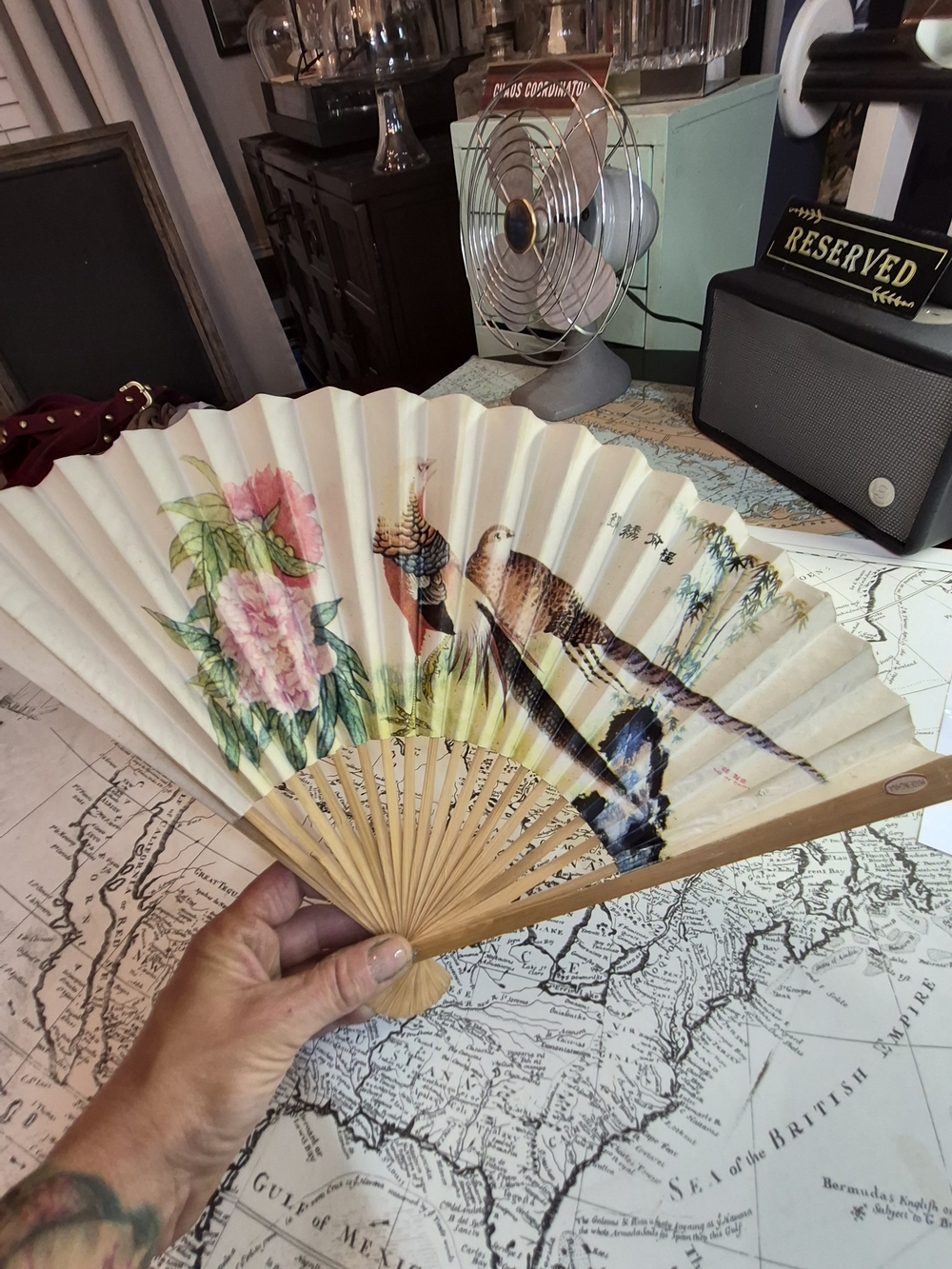 Decorative Handheld Folding Fan - Floral & Bird Design in Cream and Pink